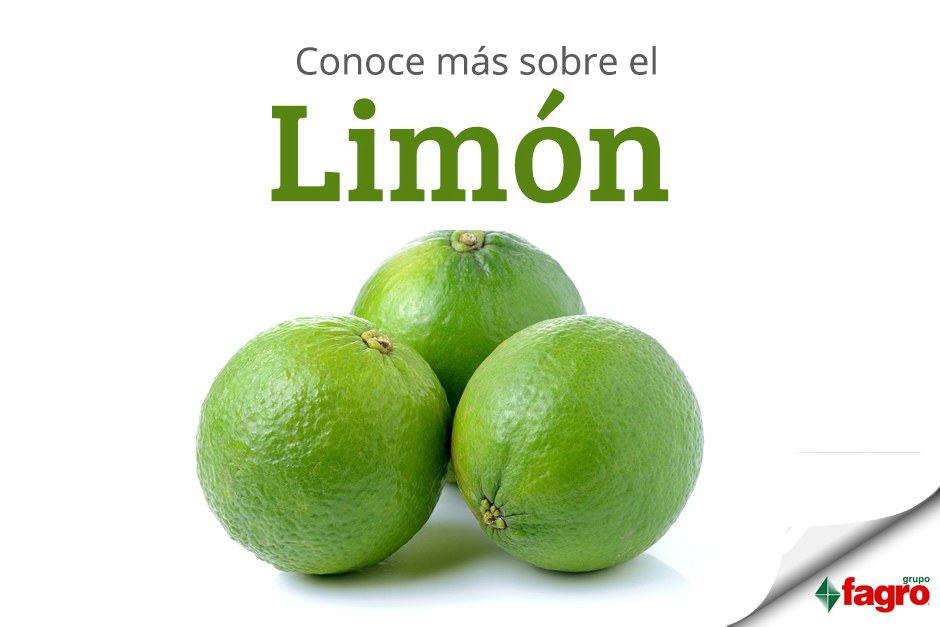 Conoce más sobre el Limón