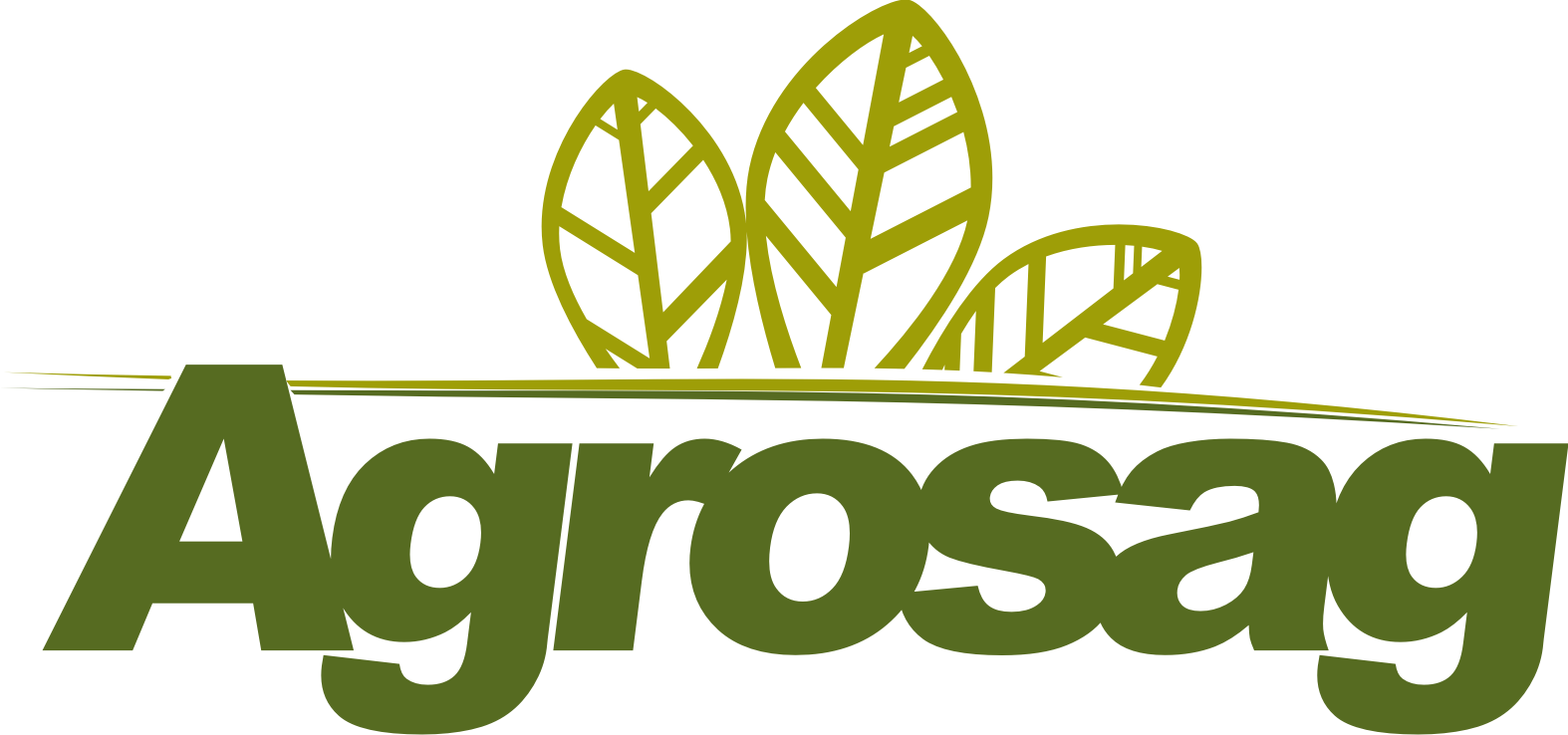 AGROSAG LOGO Grupo Fagro