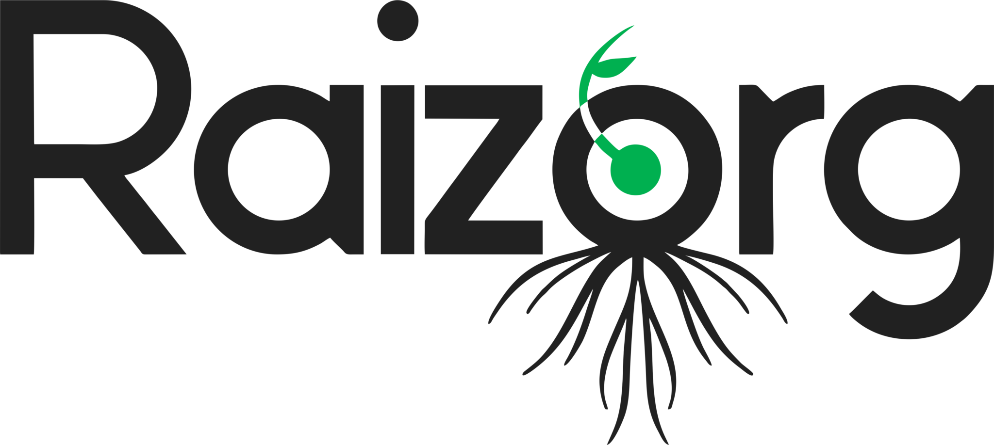 RAIZORG Logo