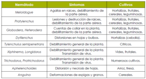 especies de nematodos