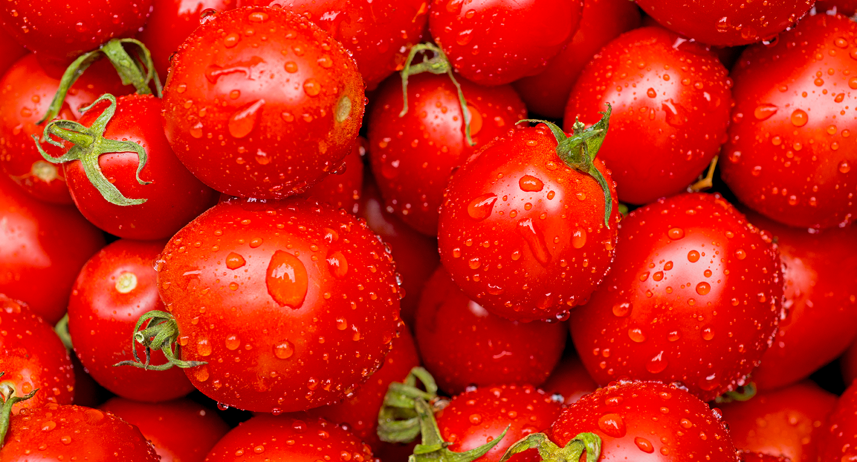 Riesgos y deficiencias del uso del cloro como desinfectante de fruta en postcosecha.