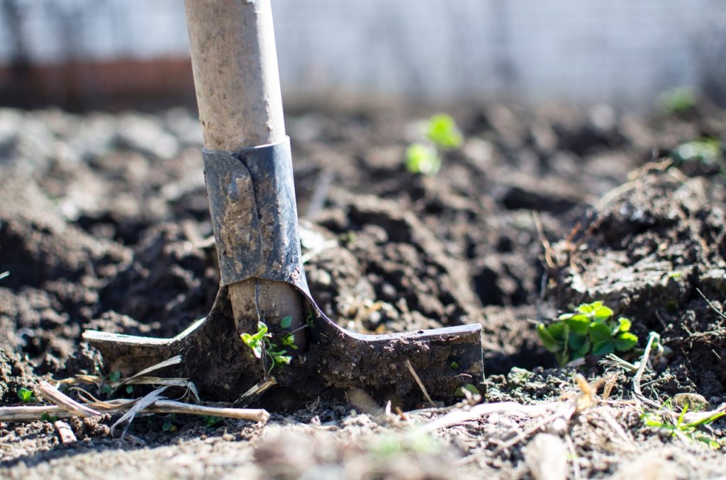 Morfología y comportamiento de las - Agricultura orgánica.