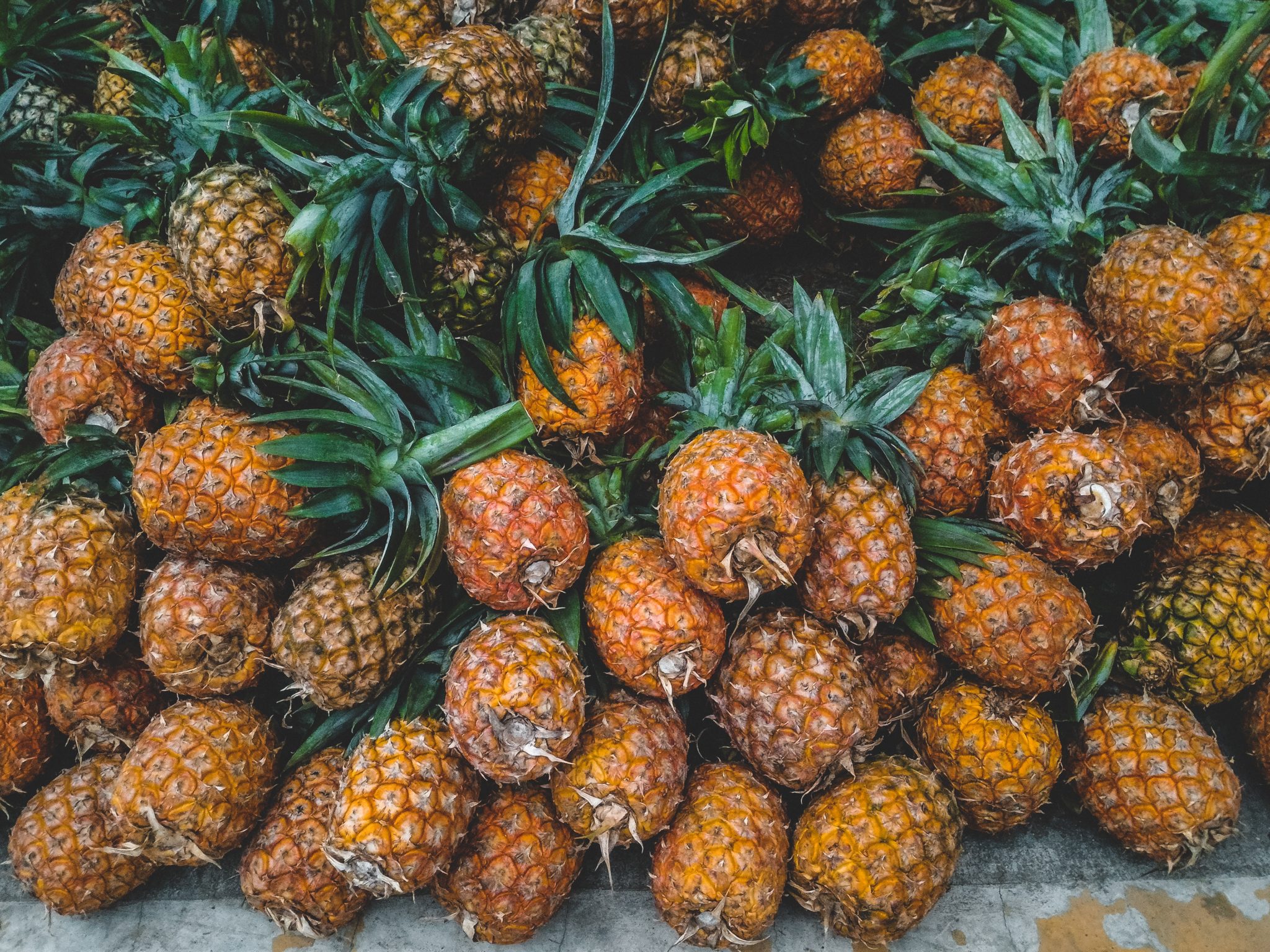 Enfermedades en cultivo de piña